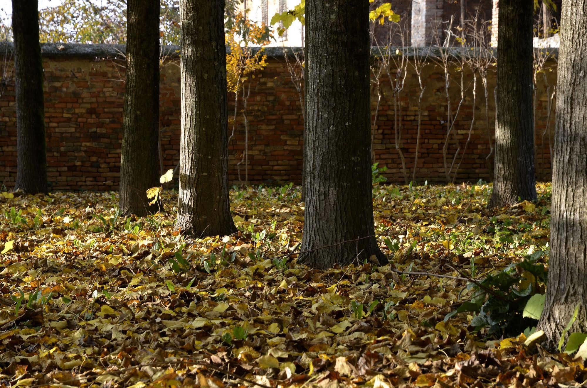 9 Muse Bed And Breakfast Canneto sull'Oglio Zewnętrze zdjęcie